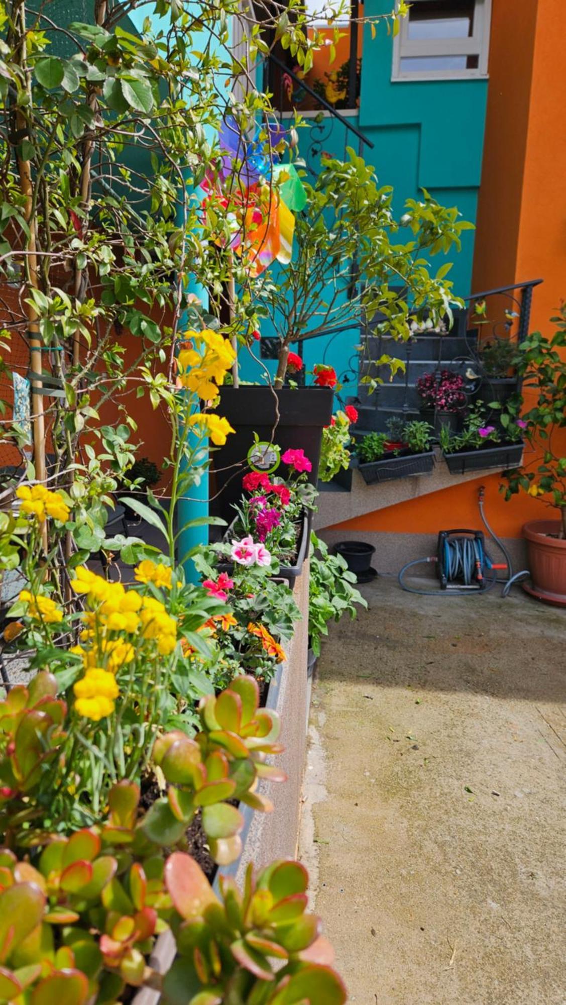זאדאר Mexicana Apartment Pink מראה חיצוני תמונה