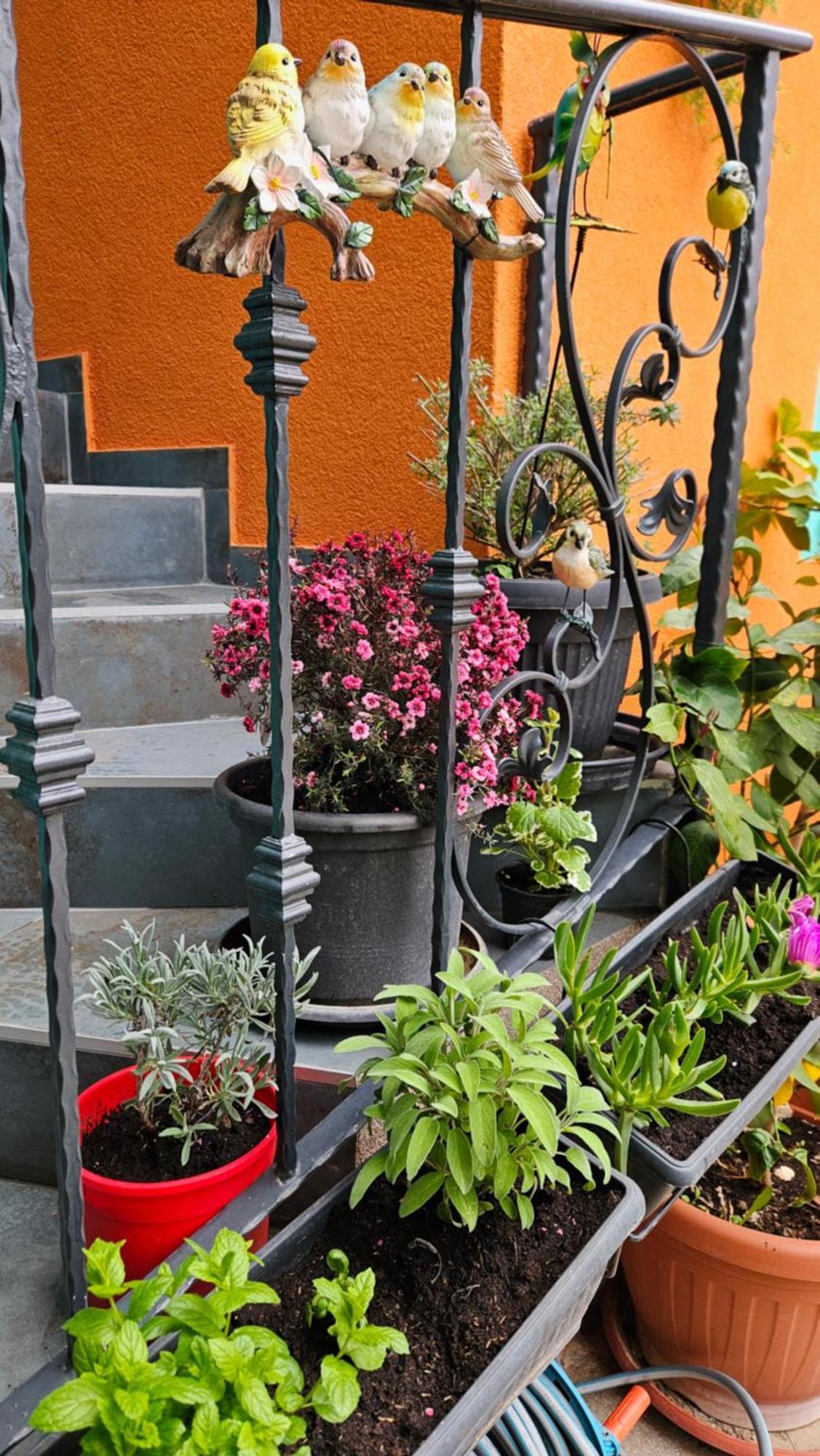 זאדאר Mexicana Apartment Pink מראה חיצוני תמונה